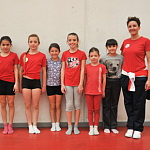Ginnastica Artistica