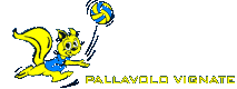 Pallavolo Vignate